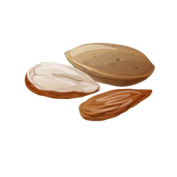 Eco almonds icon, cartoon style — ストックベクタ