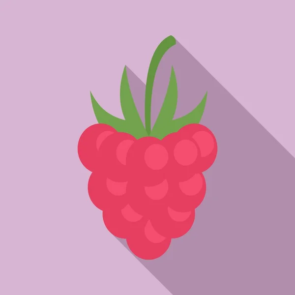 Natural raspberry icon, flat style — Stock Vector