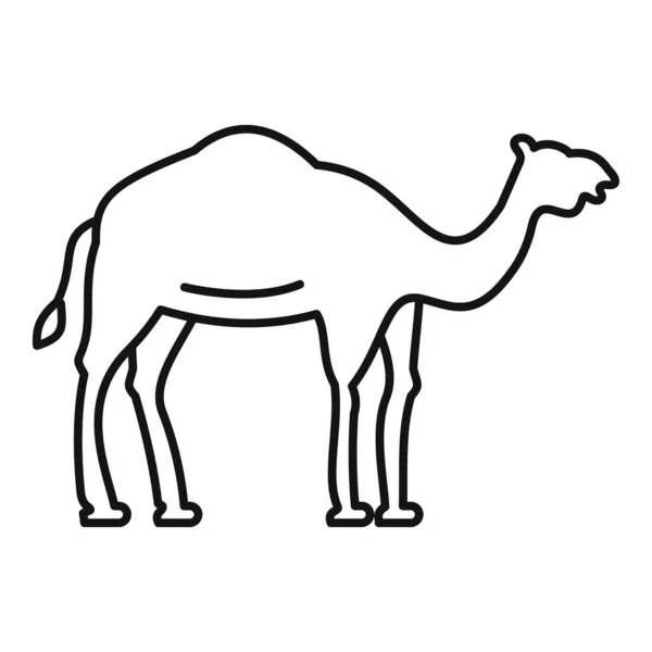 Egipto icono de camello, estilo de esquema — Vector de stock