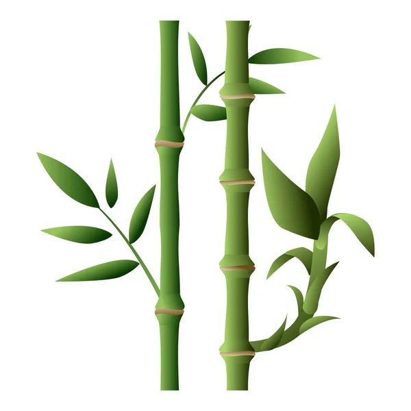 Bambu bitkisi simgesi, çizgi film tarzı — Stok Vektör