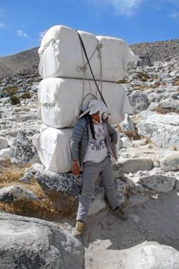 Sherpa female porter carrying heavy sacks clipart