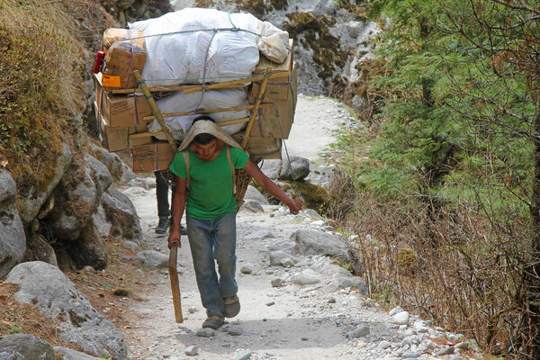 The young sherpa porter carrying heavy sacks