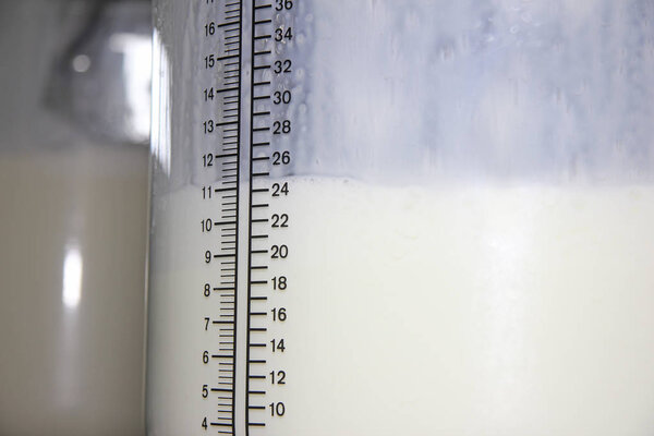 Filling bottles with milk. Milking cows on farm, working with dairy equipment