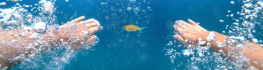Underwater shoot of a diver swimming in a blue clear water and chasing the goldfish, strong hands and lots of bubbles. Point of view shot