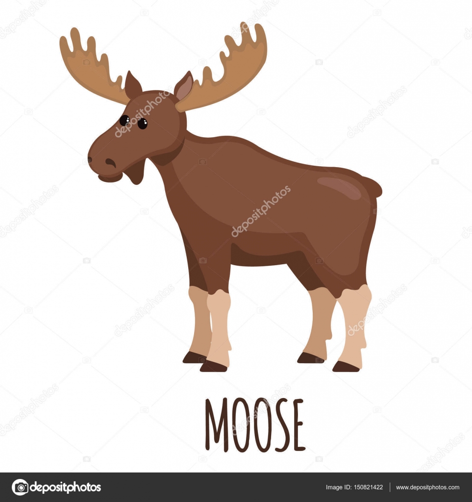 드디어 전설의 월마트 다이아몬드 도츠 컬렉션을 찾았어 😆 : r/diamondpainting, image size:1600x1700