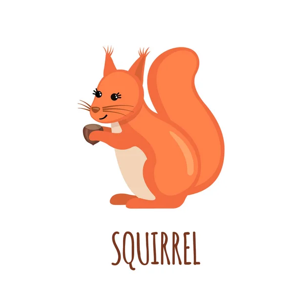 Écureuil mignon dans un style plat . — Image vectorielle