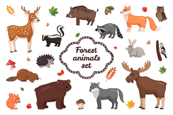 Ensemble d'animaux forestiers . — Image vectorielle