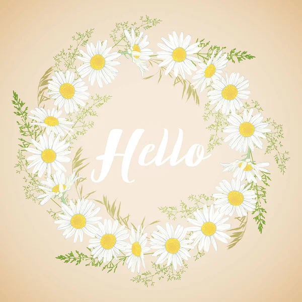 Cartão bonito com camomila flores grinalda . —  Vetores de Stock