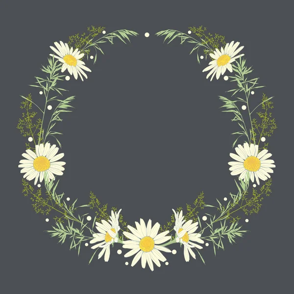 Hand drawn wreath with camomile and herbs. — Stock Vector