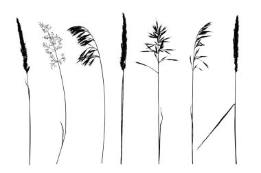 Yabani otlar siluetleri kümesi.