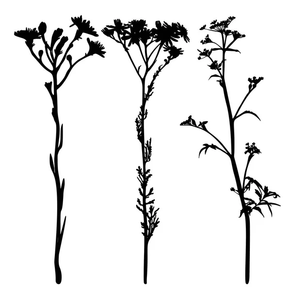 Set of Wild flowers silhouettes isolated on white. — Stock Vector