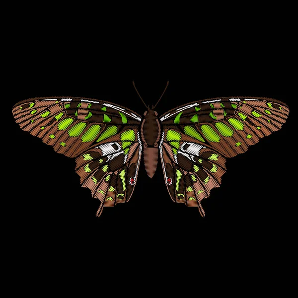 Mariposa bordada para el diseño de moda . — Vector de stock