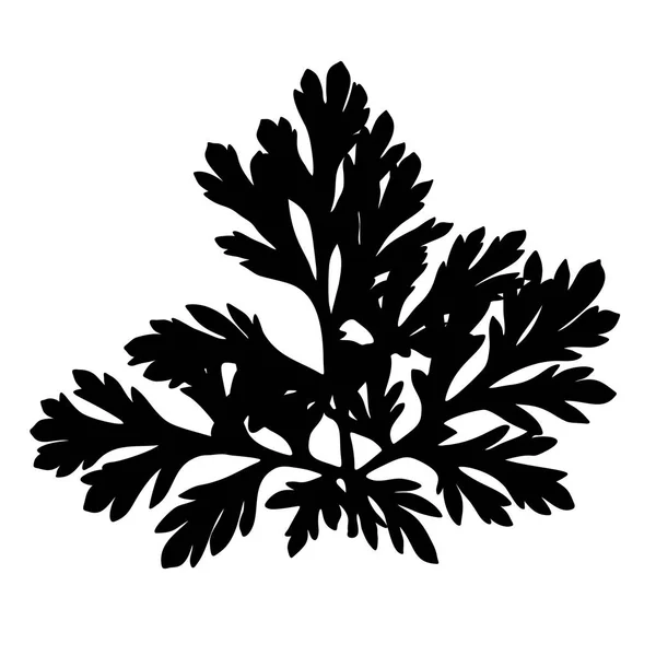 Wild herb silhouette. — Stock Vector
