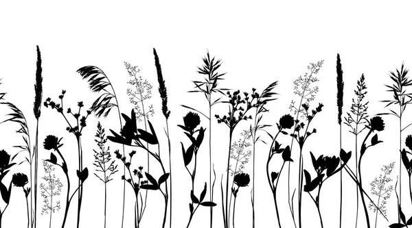 Borde horisontal sin costuras con hierbas silvestres y siluetas de flores aisladas en blanco . — Archivo Imágenes Vectoriales