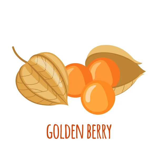 Icono vectorial de Golden Berry o Physalis en estilo plano aislado sobre fondo blanco . — Vector de stock