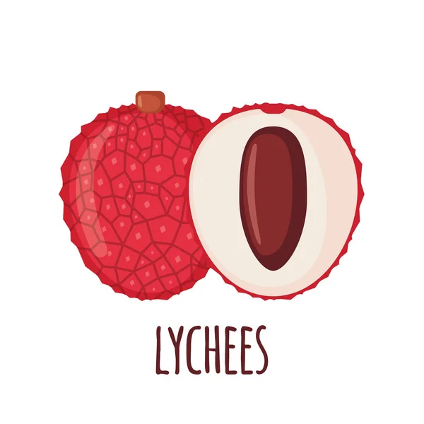 Lychee Fruit Icon Flat Style Isolated White Background Vector Illustration — Stock Vector