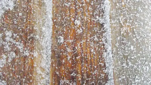 Piękne Drewniane Tła — Zdjęcie stockowe