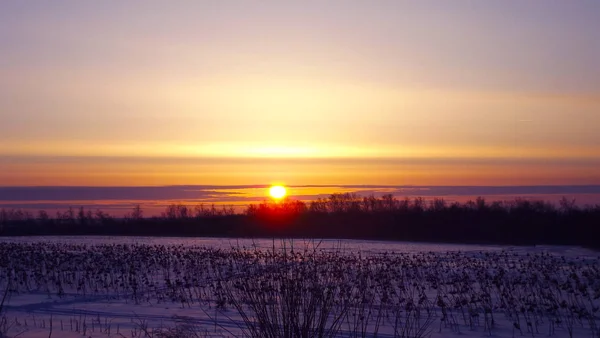 Amanhecer Campo Inverno Dia Gelado — Fotografia de Stock