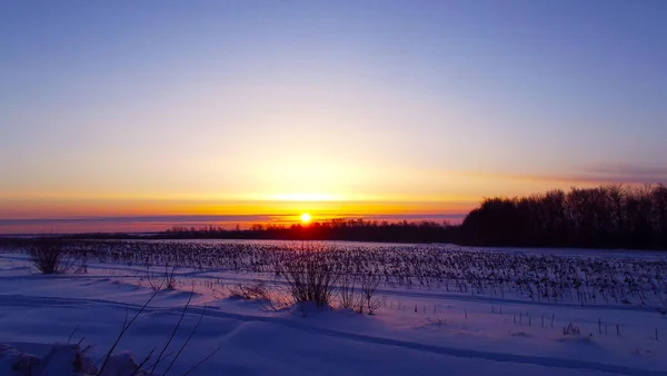 Amanhecer Campo Inverno Dia Gelado — Fotografia de Stock