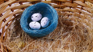 Güzel yumurta Paskalya için.