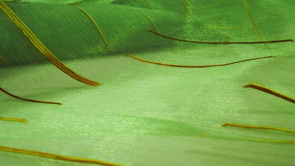 Fondo Verde Abstracto Hecho Tela Ligera —  Fotos de Stock