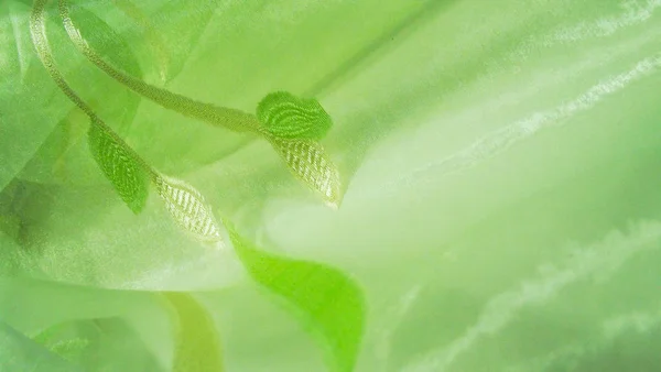 Beautiful Green Background Light Fabric — Stock Photo, Image