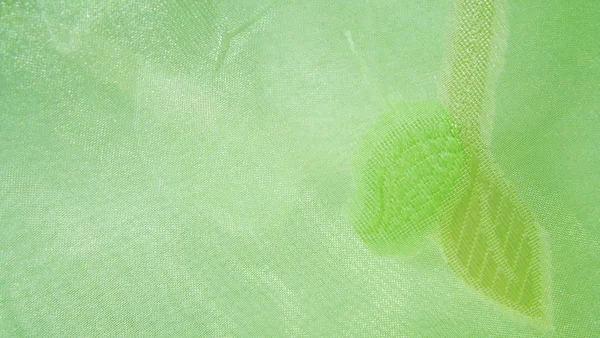 Красивий Зелений Фон Легкої Тканини — стокове фото