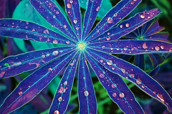 Όμορφο Αφηρημένο Φόντο Μωβ Και Μπλε Φύλλα Λουλουδιών — Φωτογραφία Αρχείου