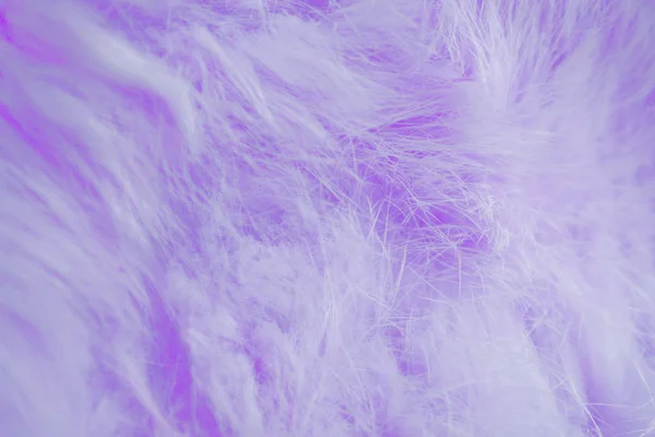 Indah Background Lilac Fur Abstrak Tekstur Bulu — Stok Foto