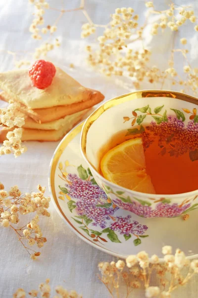 Fresh Fragrant Tea Lemon Homemade Cookies — Stock Photo, Image