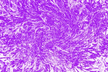 Tasarım, düzen ve desenler için soyut arkaplan. Mor soyutlama.