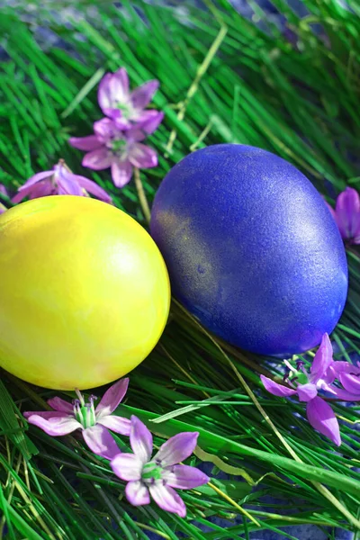 Huevos Pascua Decorativos Huevos Pascua Fondo Textura Decorativa Los Huevos — Foto de Stock