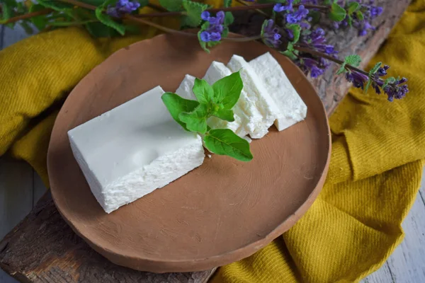 Formaggio Sottaceto Tagliato Pezzi Con Rametto Verdure Piatto Argilla — Foto Stock