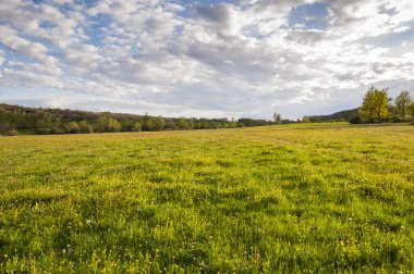 Saman çayırlar Fenar Vadisi