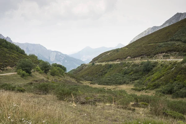 Terre brughiere in Val di Saliencia — Foto Stock