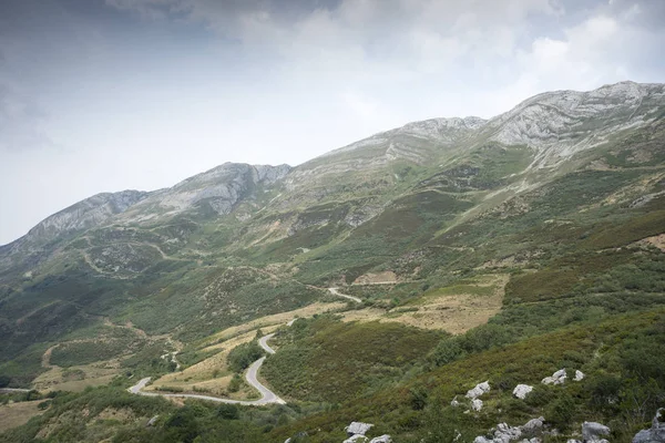 Terre brughiere in Val di Saliencia, Riserva Naturale Somiedo — Foto Stock