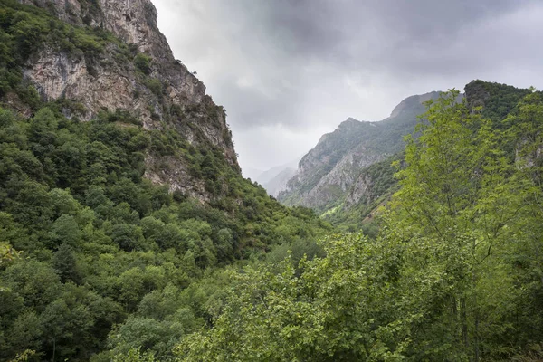 Somiedo Valley, Somiedo doğa rezerv Woodlands — Stok fotoğraf