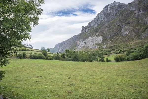 Hay meadows in Valle del Lago — ストック写真