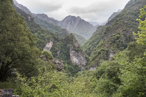 Somiedo Valley, Somiedo doğa rezerv Woodlands — Stok fotoğraf