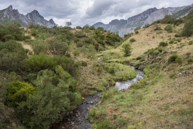 Rio del Lago, Somiedo doğa rezerv Nehri'nin sayısı