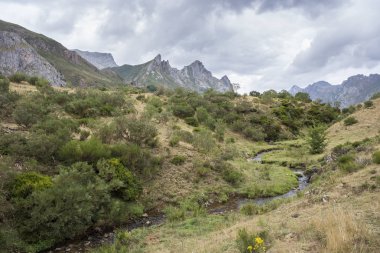 Rio del Lago, Somiedo doğa rezerv Nehri'nin sayısı