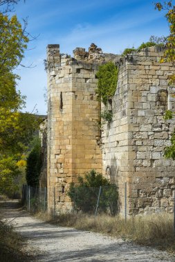 Bonaval Manastırı kalıntıları