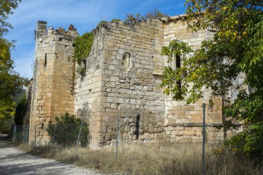 Bonaval Manastırı kalıntıları