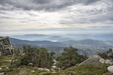 İskoç çam ormanı Siete Picos (yedi tepeler) aralığında