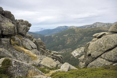İskoç çam ormanı Siete Picos (yedi tepeler) aralığında