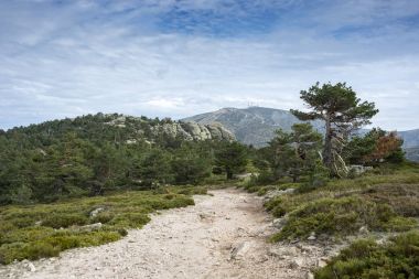 Navacerrada Kayak Merkezi görünümlerini
