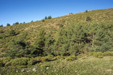 Hornillo akışı yanındaki yastıklı çırpı