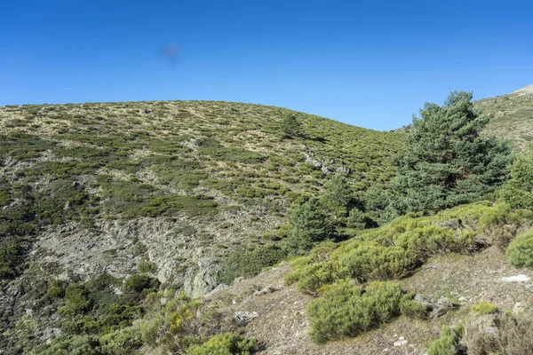 Vadderad åkermarker i Guadarrama Mountains National Park — Stockfoto