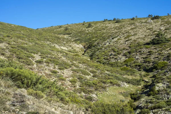 Παραγεμισμένο φρύγανα σε Guadarrama βουνά του εθνικού πάρκου — Φωτογραφία Αρχείου