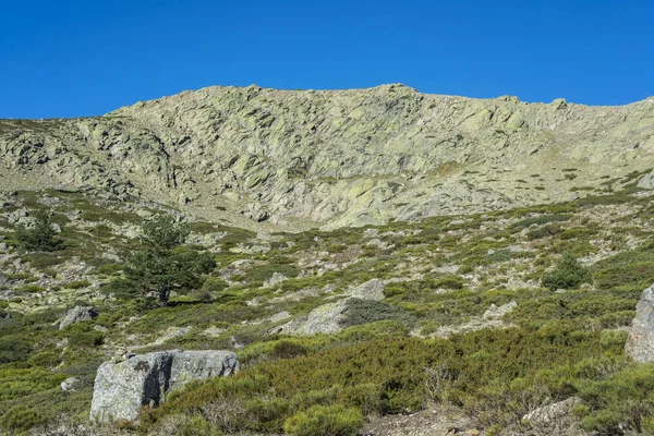 Gewatteerde kreupelhout in het Nationaal Park Guadarrama bergen — Stockfoto